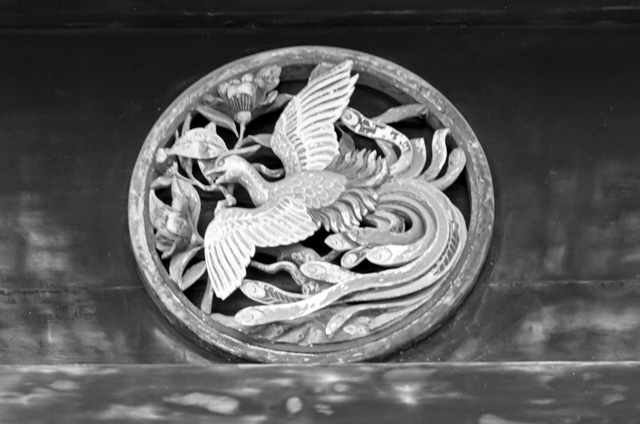 画像を別ウィンドウで表示します 画像