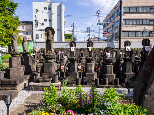 画像を別ウィンドウで表示します 画像