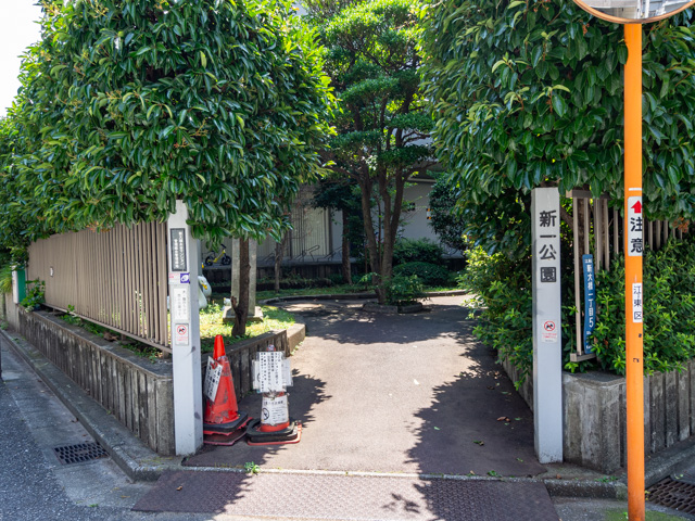 画像を別ウィンドウで表示します 画像
