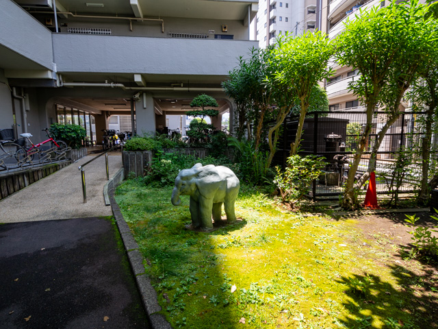 画像を別ウィンドウで表示します 画像