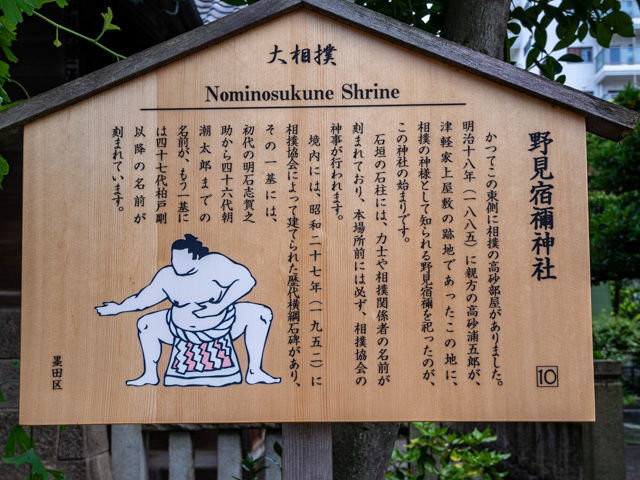 画像を別ウィンドウで表示します 画像