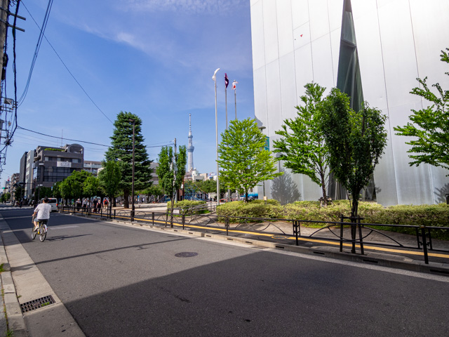 画像を別ウィンドウで表示します 画像