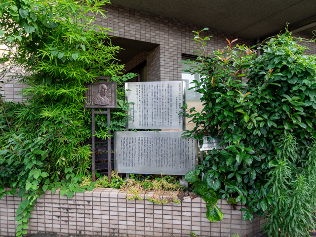 画像を別ウィンドウで表示します 画像