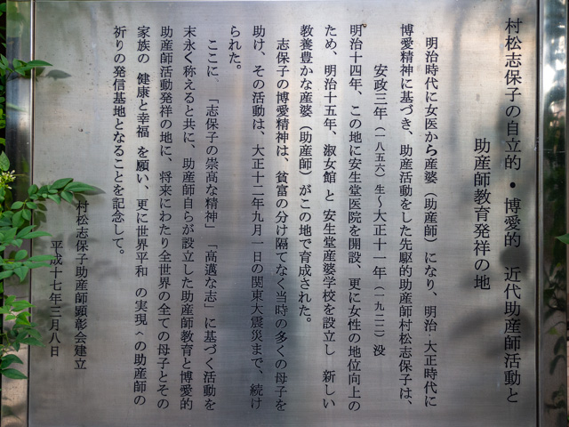 画像を別ウィンドウで表示します 画像
