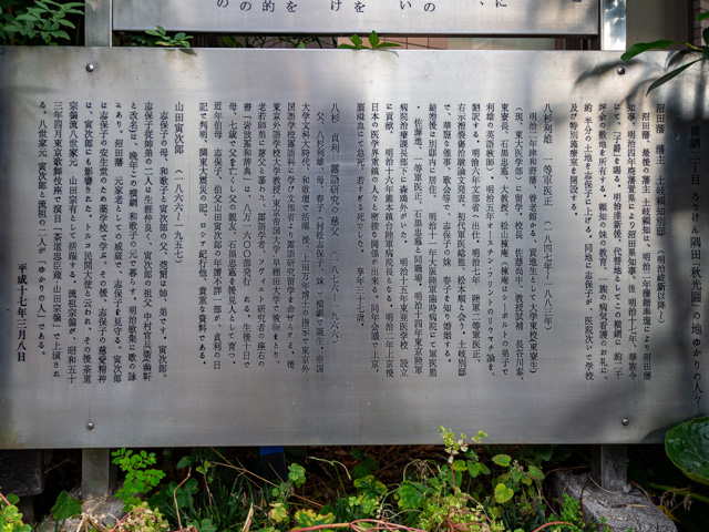 画像を別ウィンドウで表示します 画像