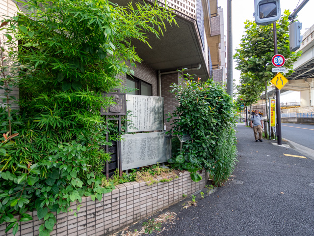 画像を別ウィンドウで表示します 画像