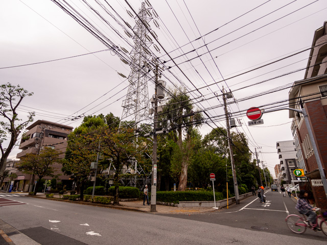 画像を別ウィンドウで表示します 画像