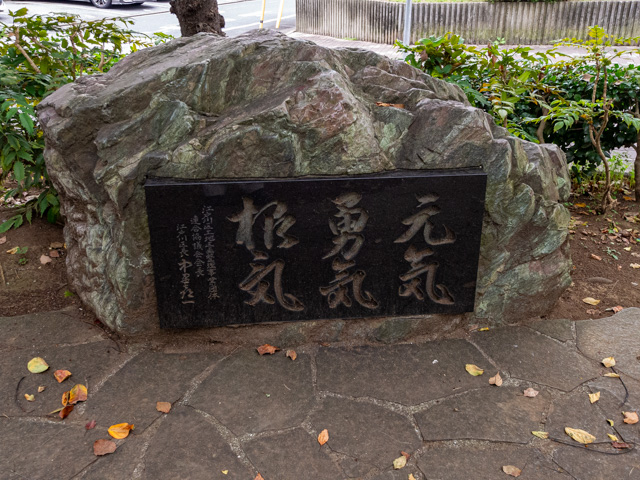 画像を別ウィンドウで表示します 画像