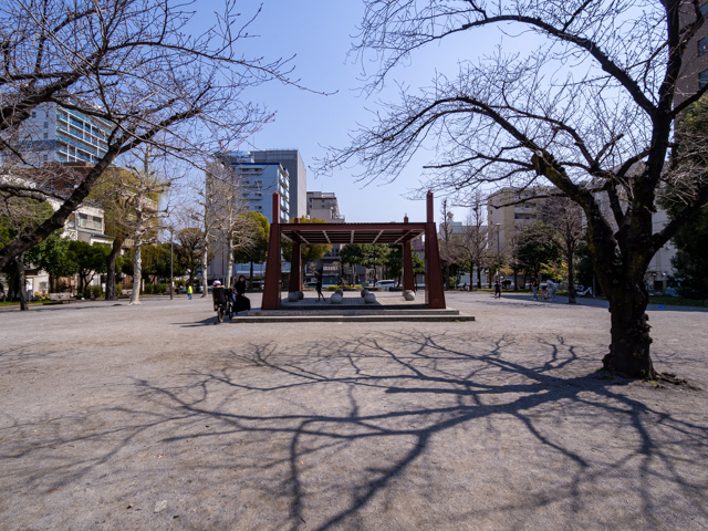 画像を別ウィンドウで表示します 画像