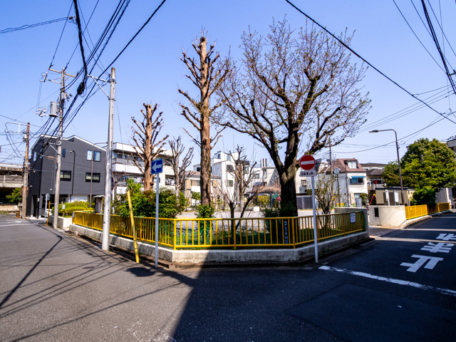 画像を別ウィンドウで表示します 画像