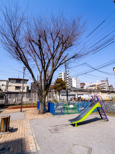画像を別ウィンドウで表示します 画像