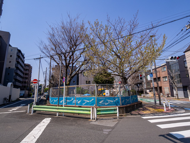 画像を別ウィンドウで表示します 画像