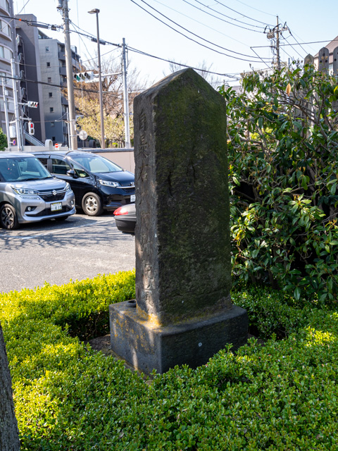 画像を別ウィンドウで表示します 画像