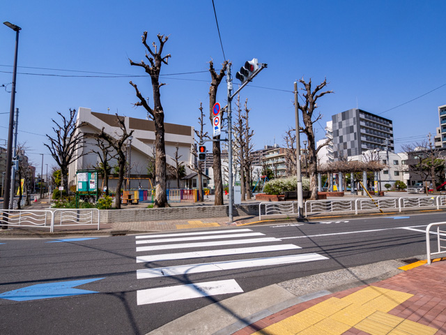 画像を別ウィンドウで表示します 画像