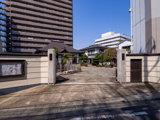 画像を別ウィンドウで表示します 画像