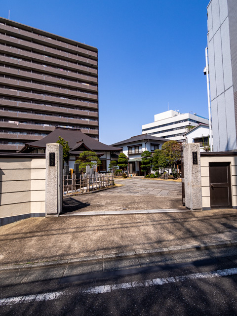 画像を別ウィンドウで表示します 画像