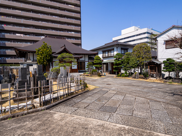 画像を別ウィンドウで表示します 画像