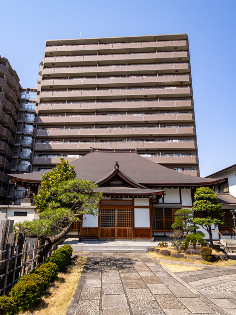 画像を別ウィンドウで表示します 画像