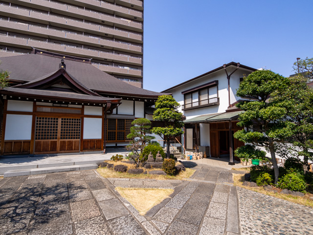 画像を別ウィンドウで表示します 画像