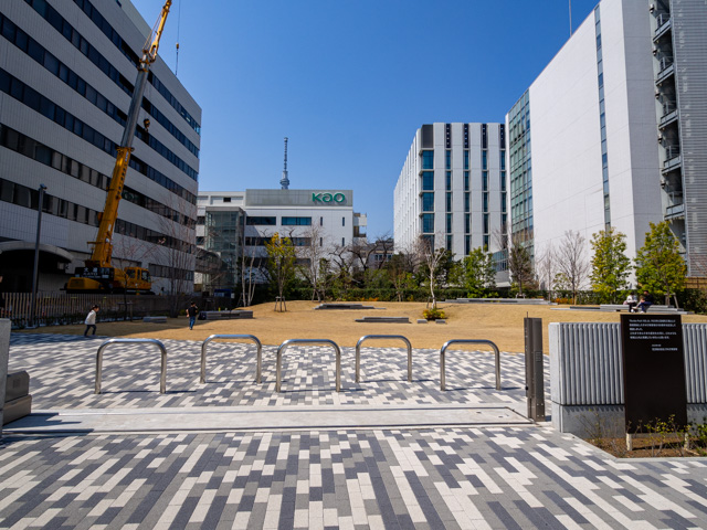 画像を別ウィンドウで表示します 画像