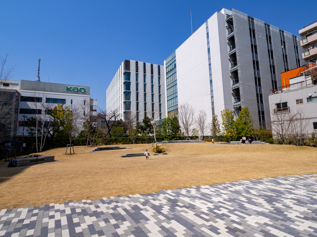 画像を別ウィンドウで表示します 画像