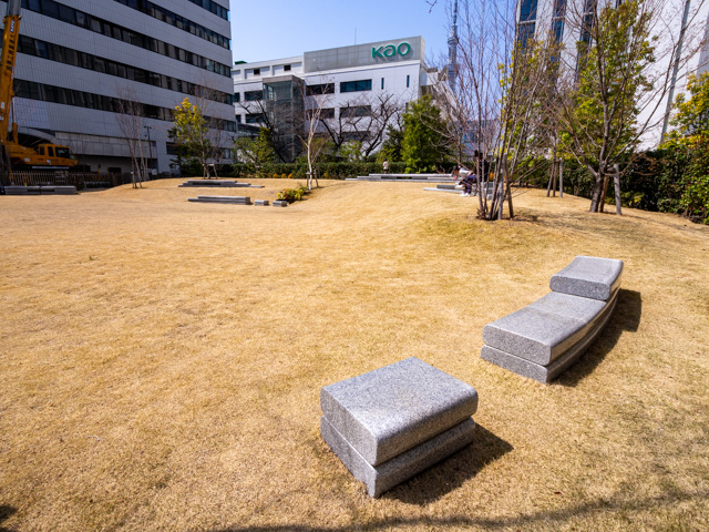 画像を別ウィンドウで表示します 画像