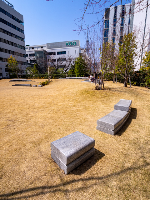 画像を別ウィンドウで表示します 画像