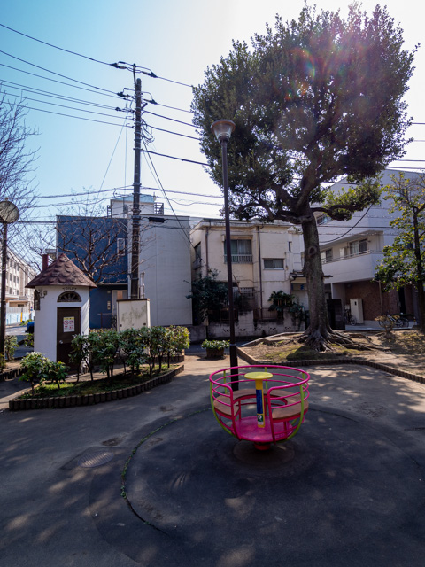 画像を別ウィンドウで表示します 画像