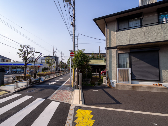 画像を別ウィンドウで表示します 画像