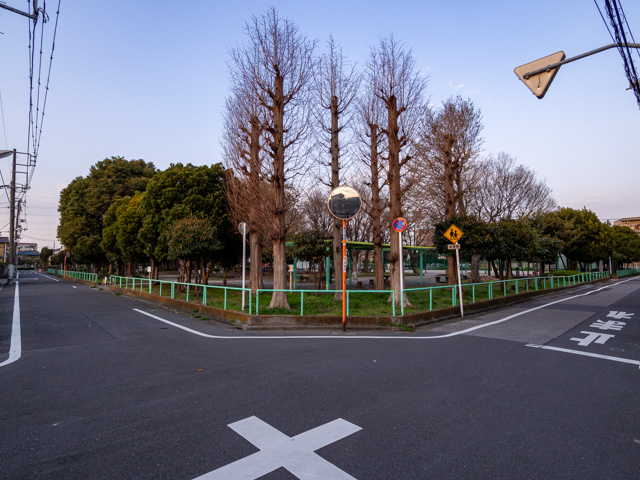 画像を別ウィンドウで表示します 画像