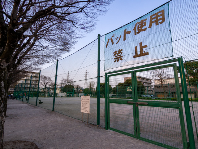 画像を別ウィンドウで表示します 画像