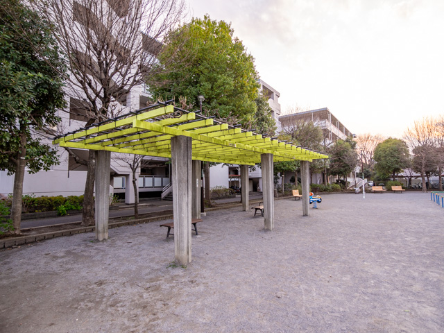 画像を別ウィンドウで表示します 画像