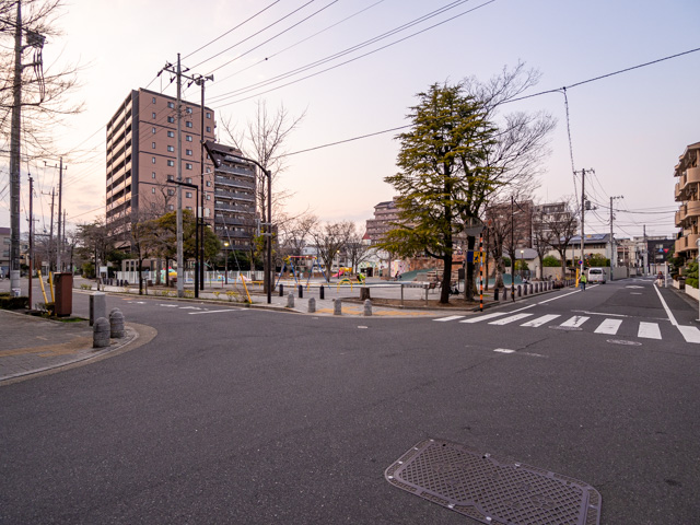 画像を別ウィンドウで表示します 画像