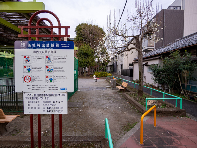 画像を別ウィンドウで表示します 画像