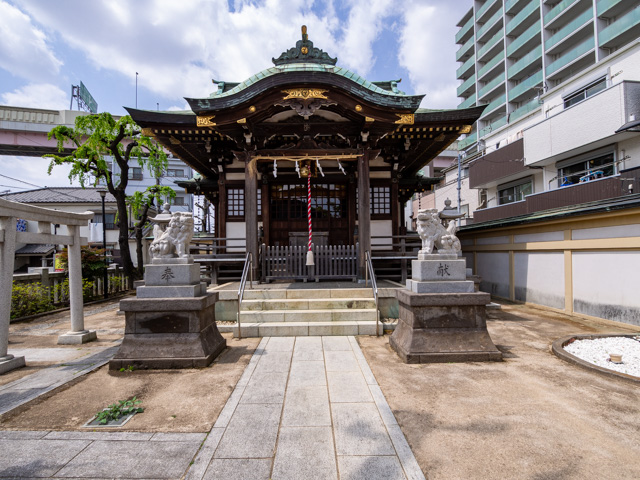 画像を別ウィンドウで表示します 画像