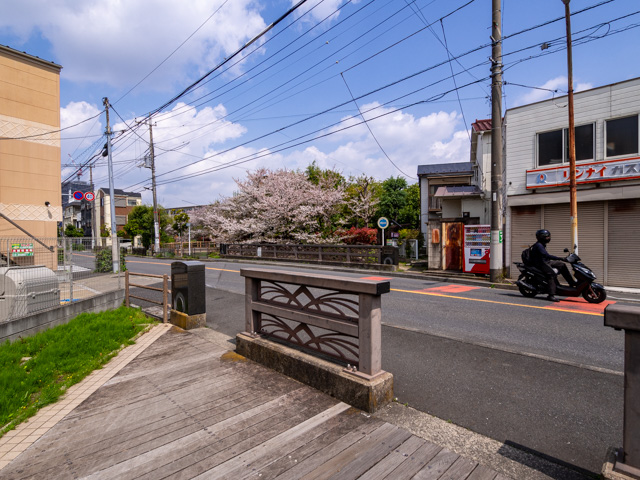 画像を別ウィンドウで表示します 画像