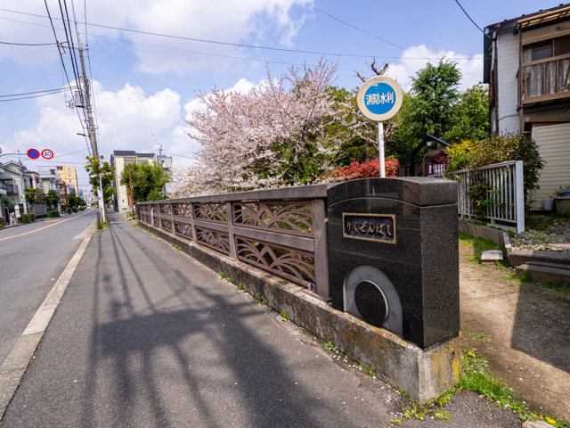 画像を別ウィンドウで表示します 画像