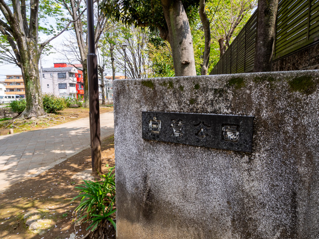 画像を別ウィンドウで表示します 画像