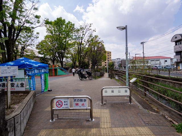 画像を別ウィンドウで表示します 画像