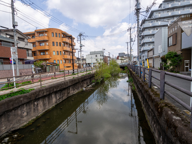 画像を別ウィンドウで表示します 画像