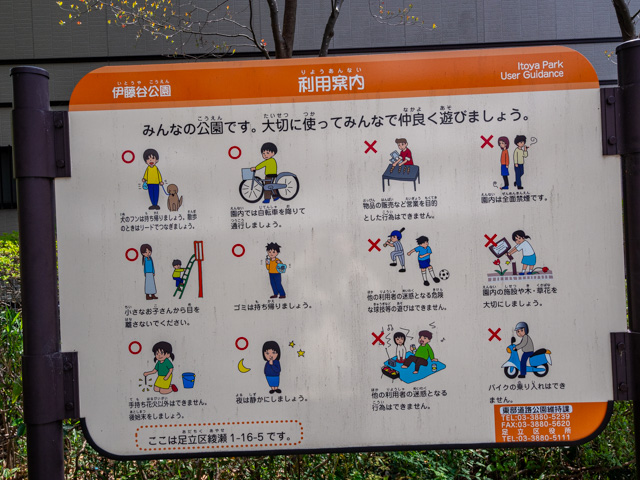 画像を別ウィンドウで表示します 画像