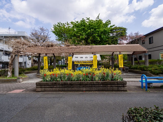 画像を別ウィンドウで表示します 画像
