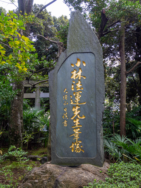 画像を別ウィンドウで表示します 画像