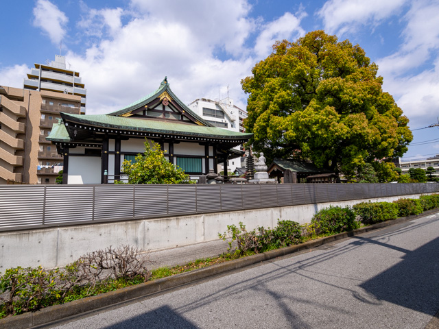 画像を別ウィンドウで表示します 画像