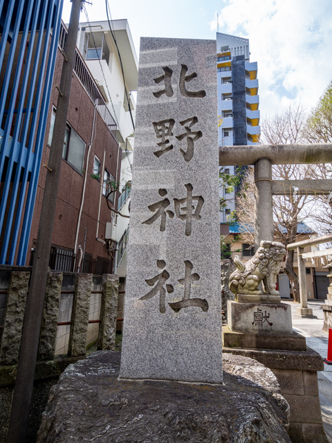 画像を別ウィンドウで表示します 画像