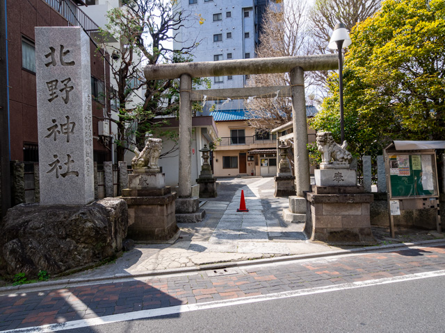 画像を別ウィンドウで表示します 画像