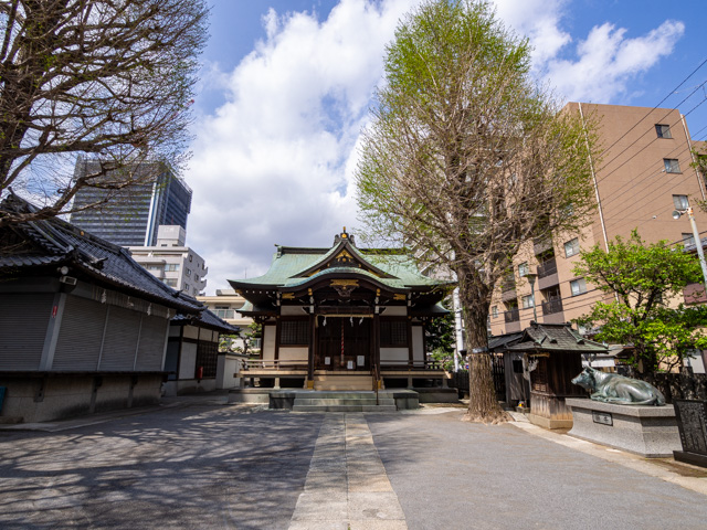 画像を別ウィンドウで表示します 画像