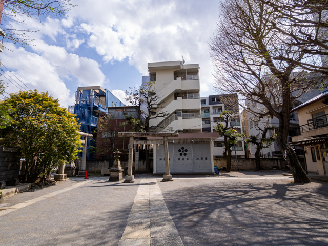 画像を別ウィンドウで表示します 画像