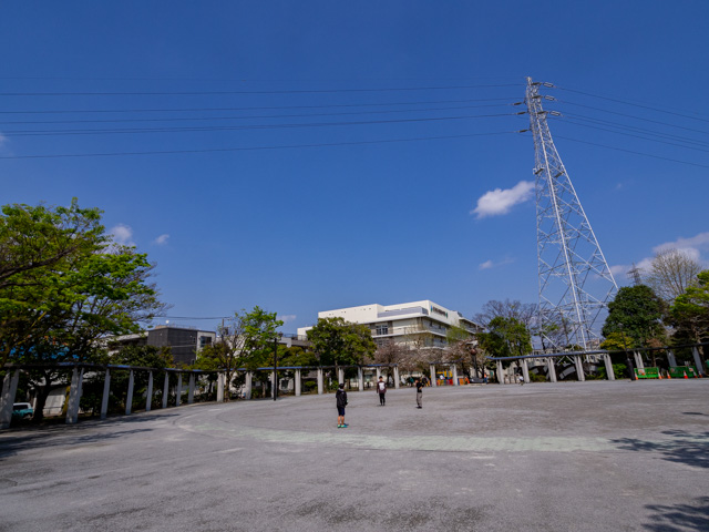 画像を別ウィンドウで表示します 画像