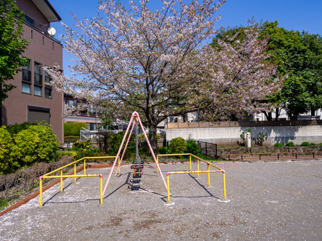 画像を別ウィンドウで表示します 画像